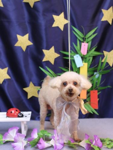 20230712メルティちゃん